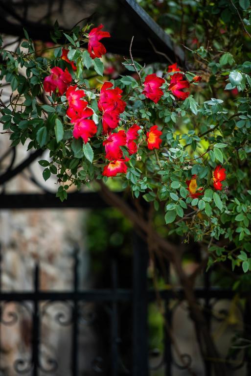 Sithonia Mulberry Houseヴィラ エクステリア 写真